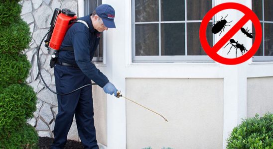Burhaniye Böcek ve Haşere İlaçlama böcek ilaçlama ve haşere kontrolü — ilaclama-tr.com